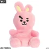 Best Aurora® - Bt21 - Palm Pals - 5" Cooky Palm Pals