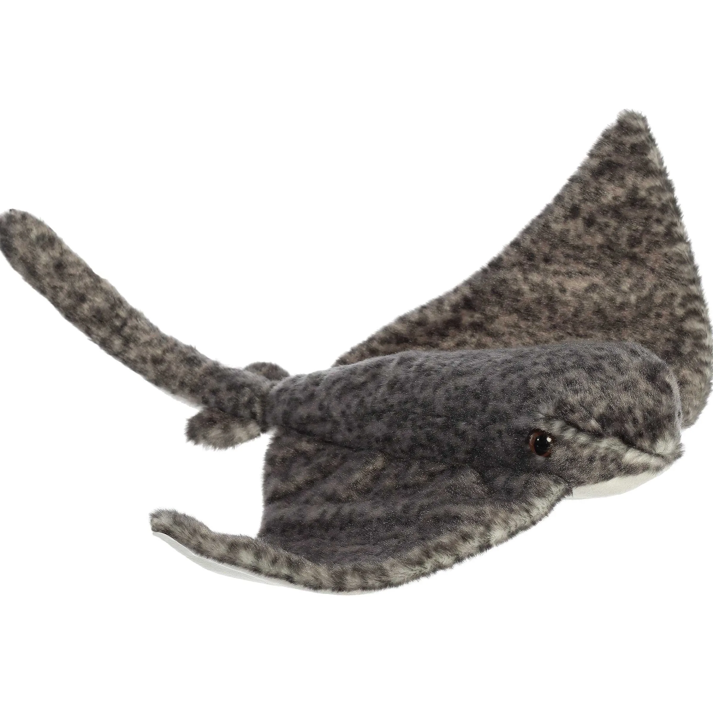 Hot - Destination Nation - 17" Stingray Aquatic