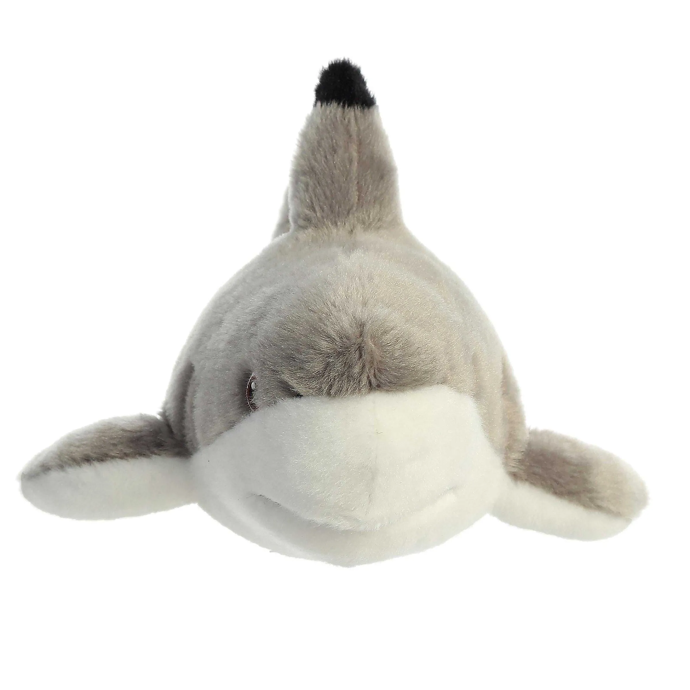Best - Eco Nation - 15" Blacktip Shark Eco Nation