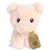 Clearance - Eco Nation - 5" Mini Pig Eco Nation