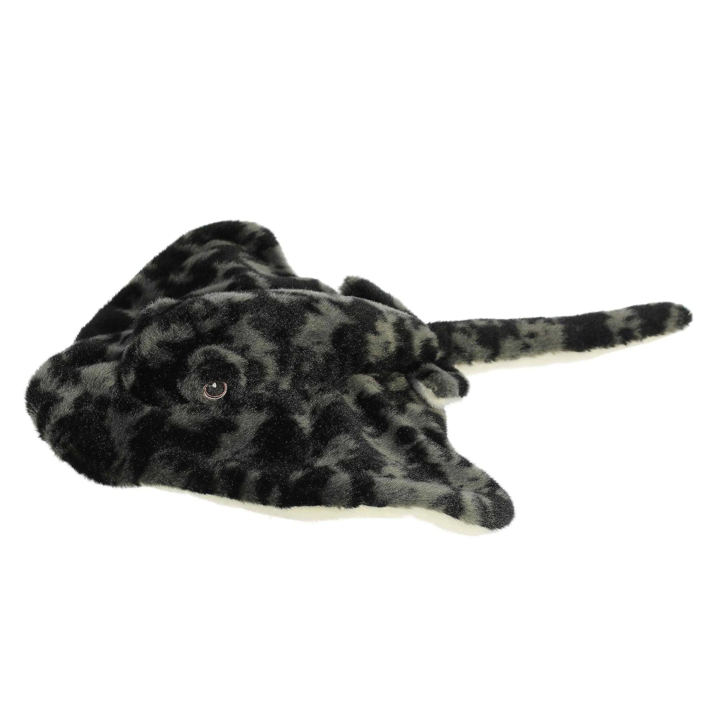 Best - Eco Nation - 12" Stingray Eco Nation