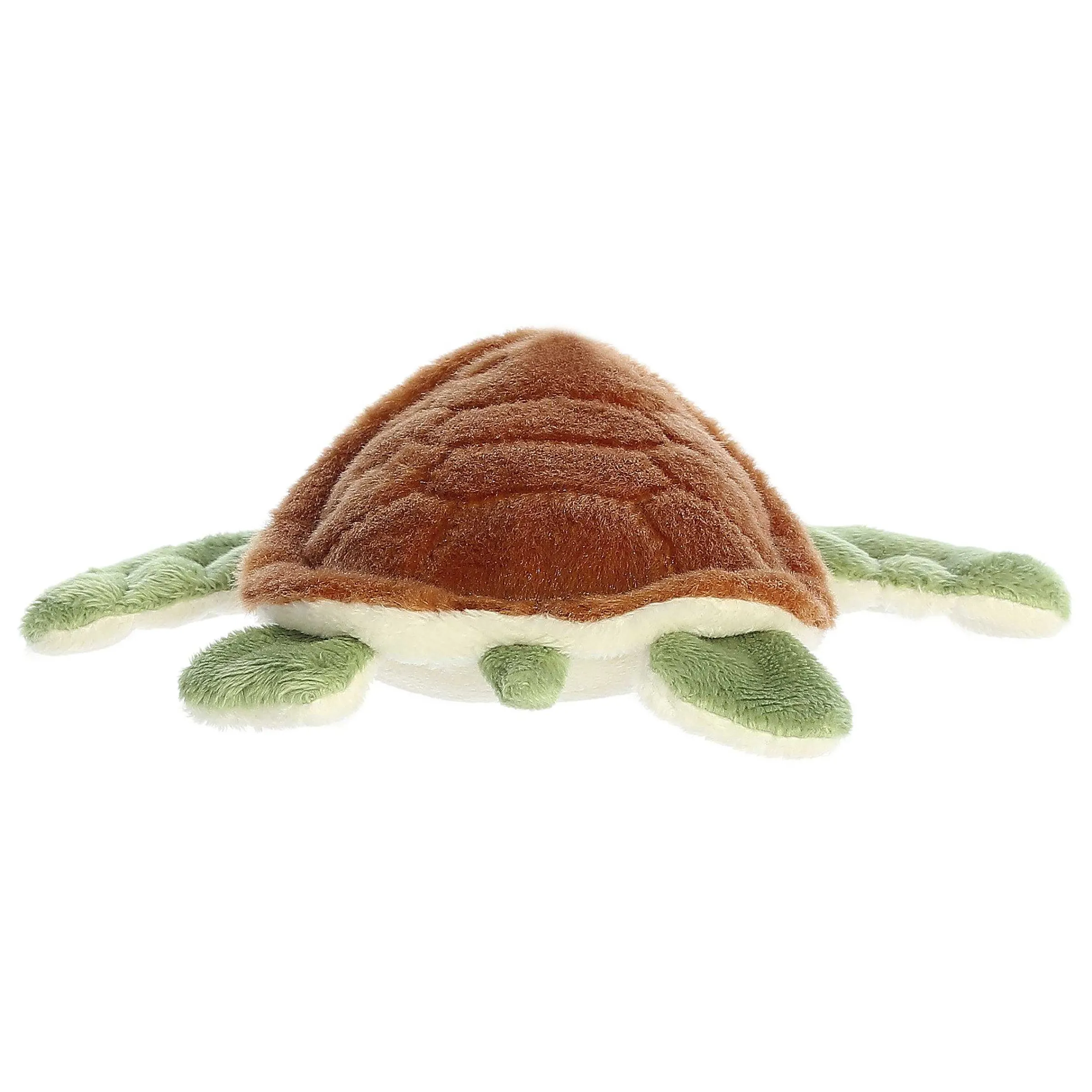Hot - Eco Nation - 5" Turtle Eco Nation