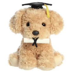 Clearance - Graduation - 8.5