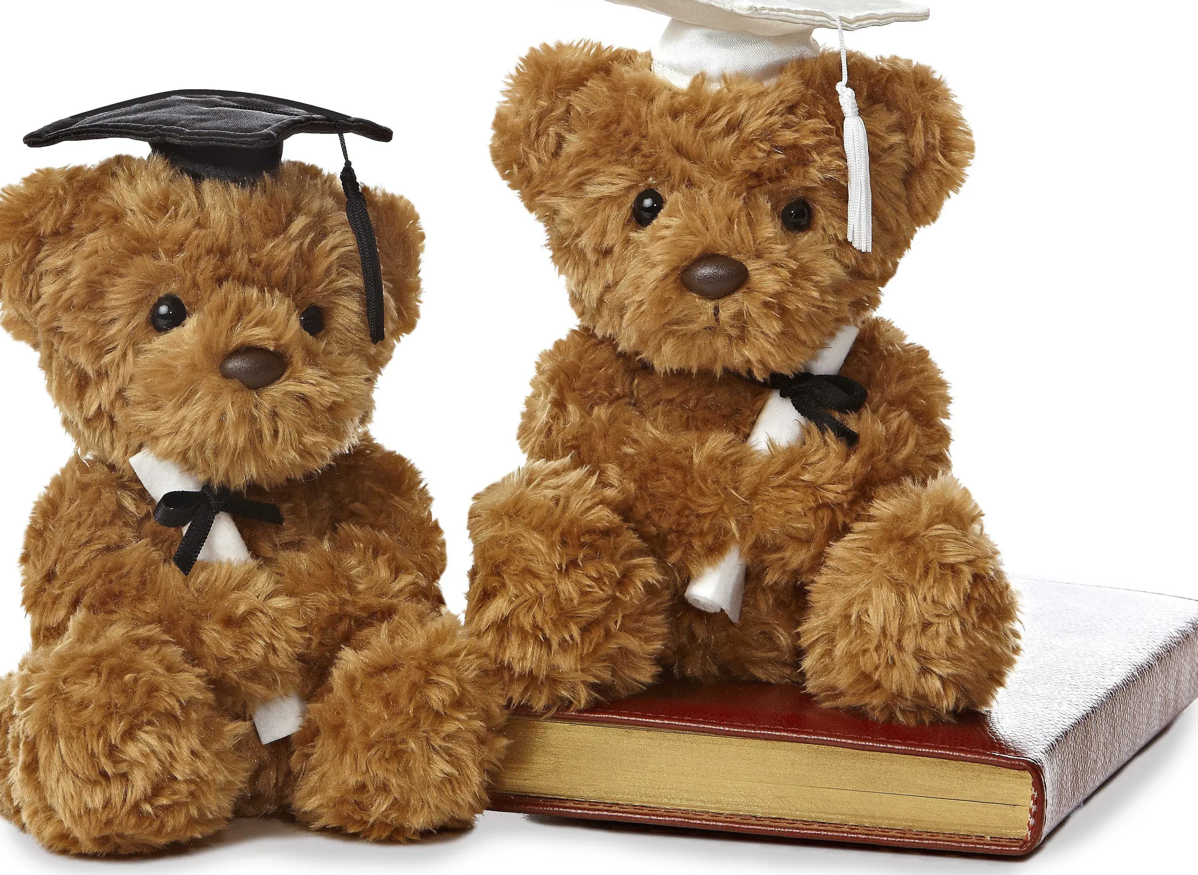 Sale - Graduation - 8.5" Wagner Bear Graduation