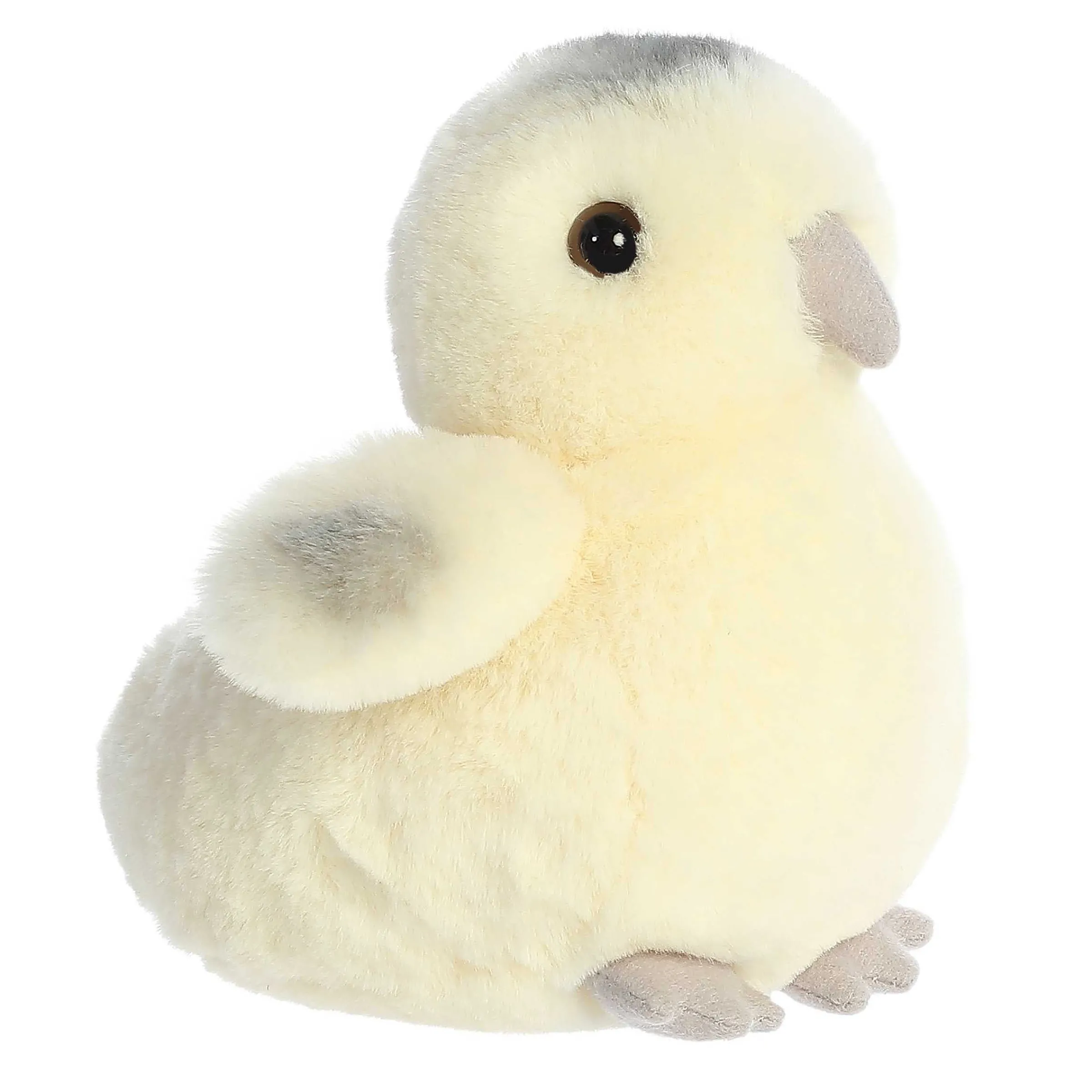 Sale - Mini Flopsie - 8" Ameraucana Chick New