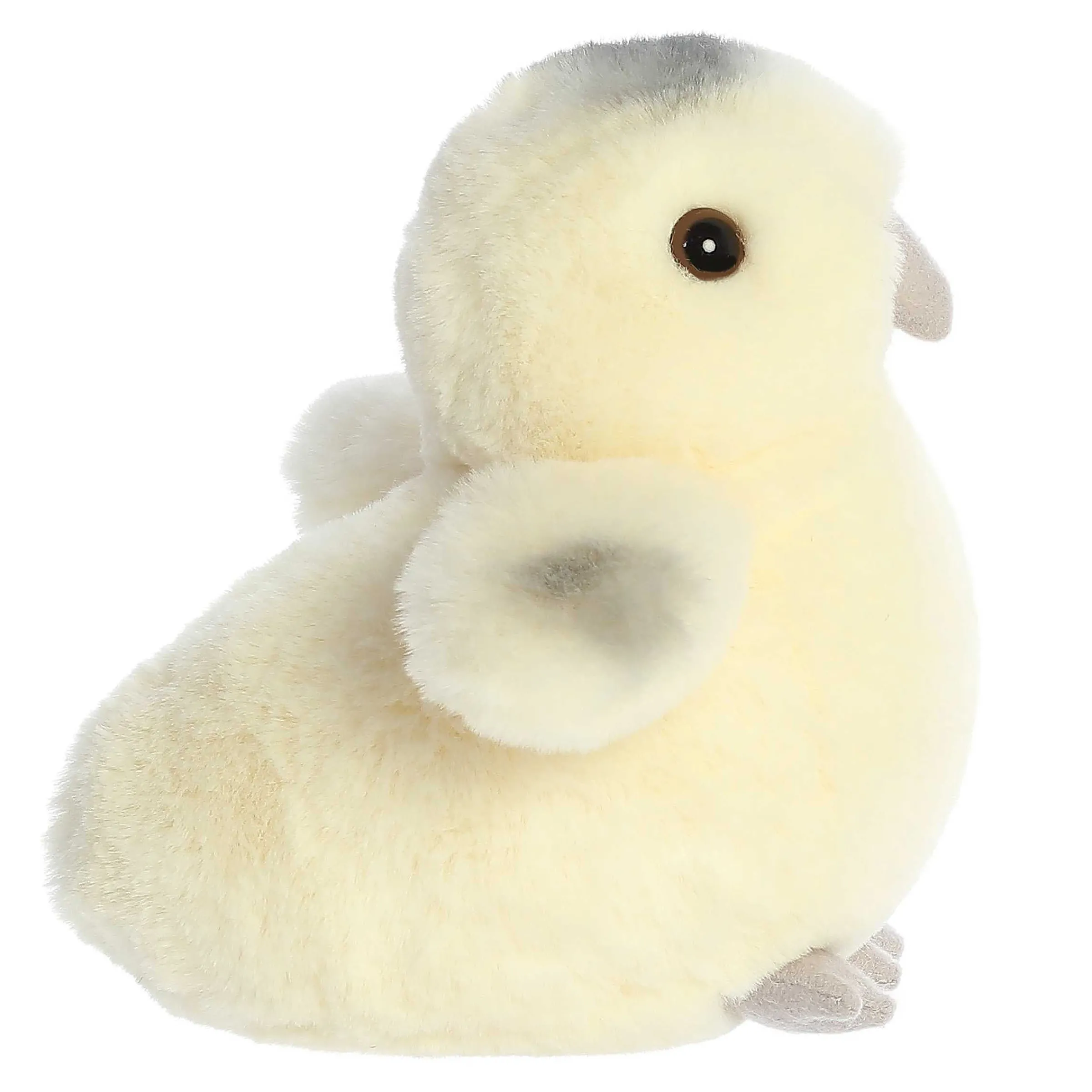 Sale - Mini Flopsie - 8" Ameraucana Chick New