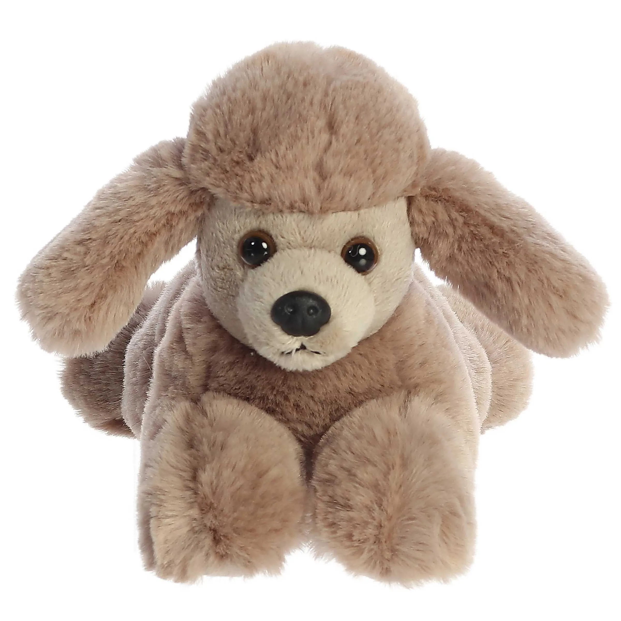 Fashion - Mini Flopsie - 8" Paysley Poodle New
