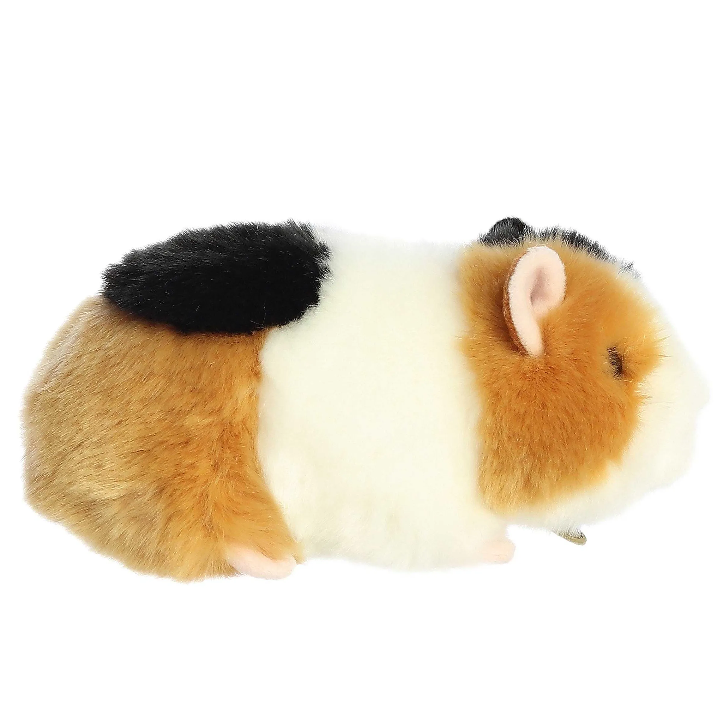 Clearance - Miyoni® - 7.5" American Guinea Pig Miyoni®