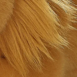 Discount - Miyoni® - Lion Miyoni®