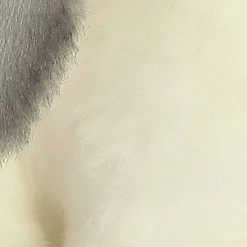 Clearance - Miyoni® - Lop Eared Rabbit Miyoni®