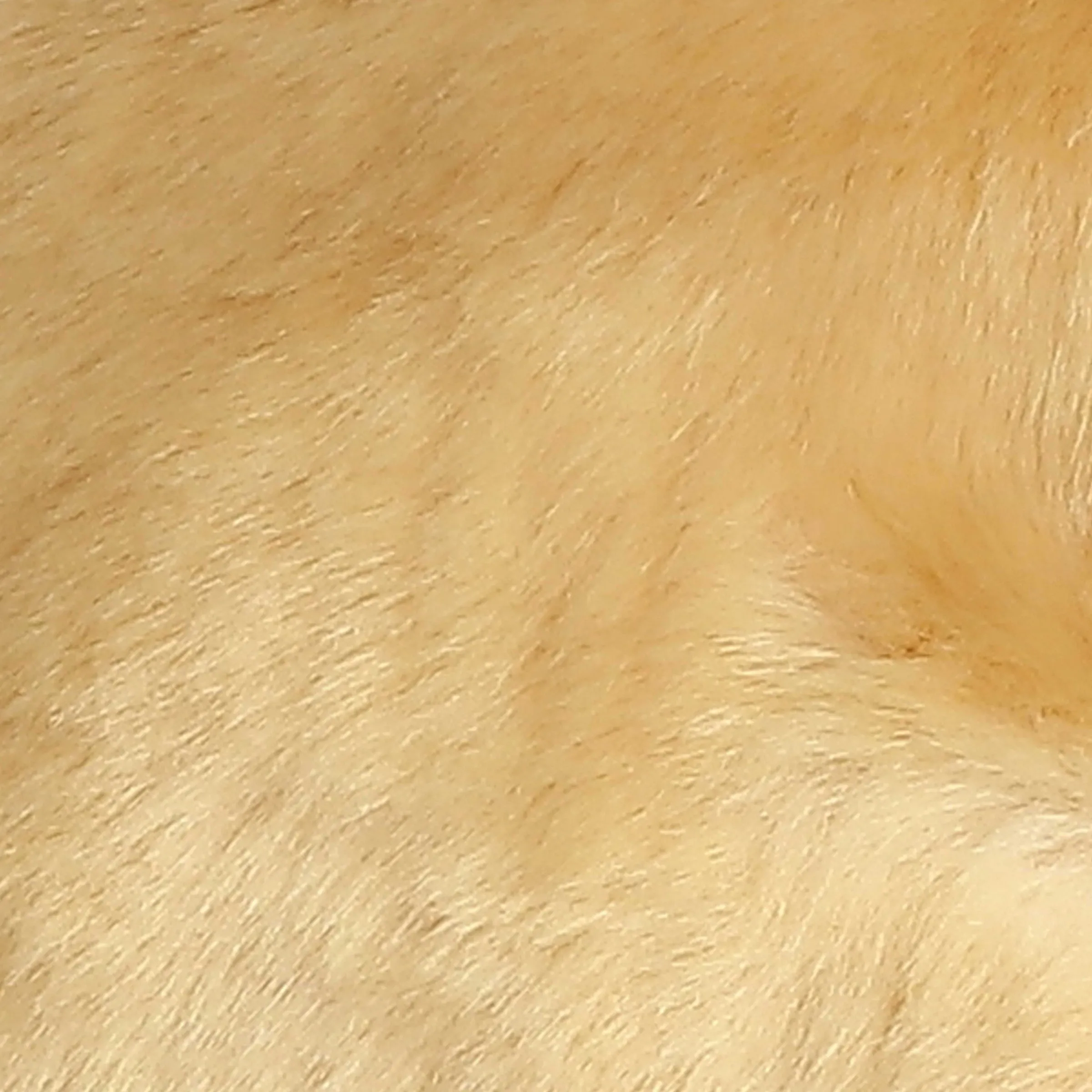 Clearance - Miyoni® - Lop Eared Rabbit Miyoni®