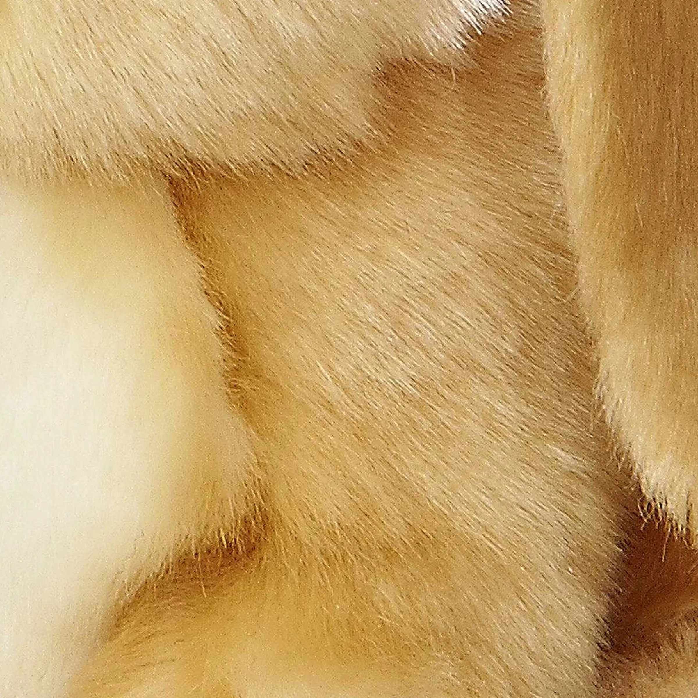 Clearance - Miyoni® - Lop Eared Rabbit Miyoni®