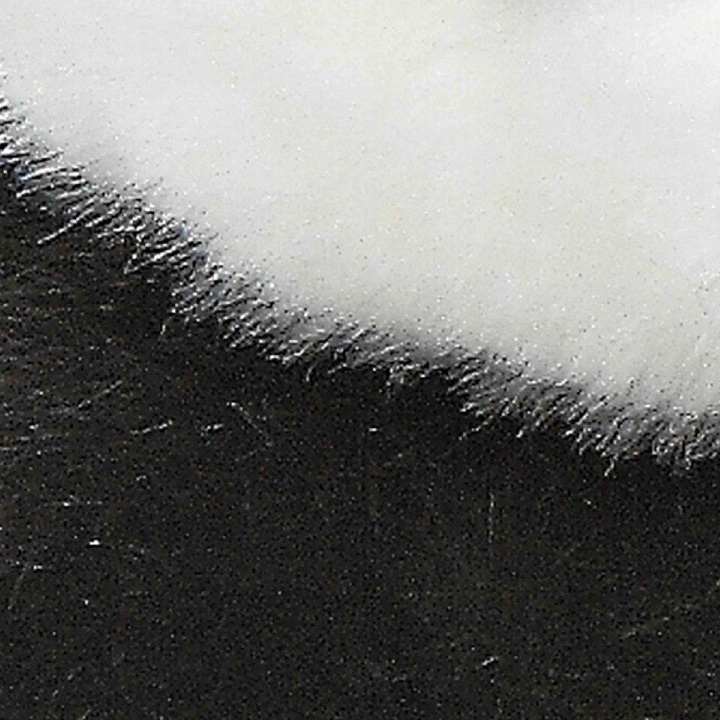 Hot - Miyoni® - Panda Miyoni®