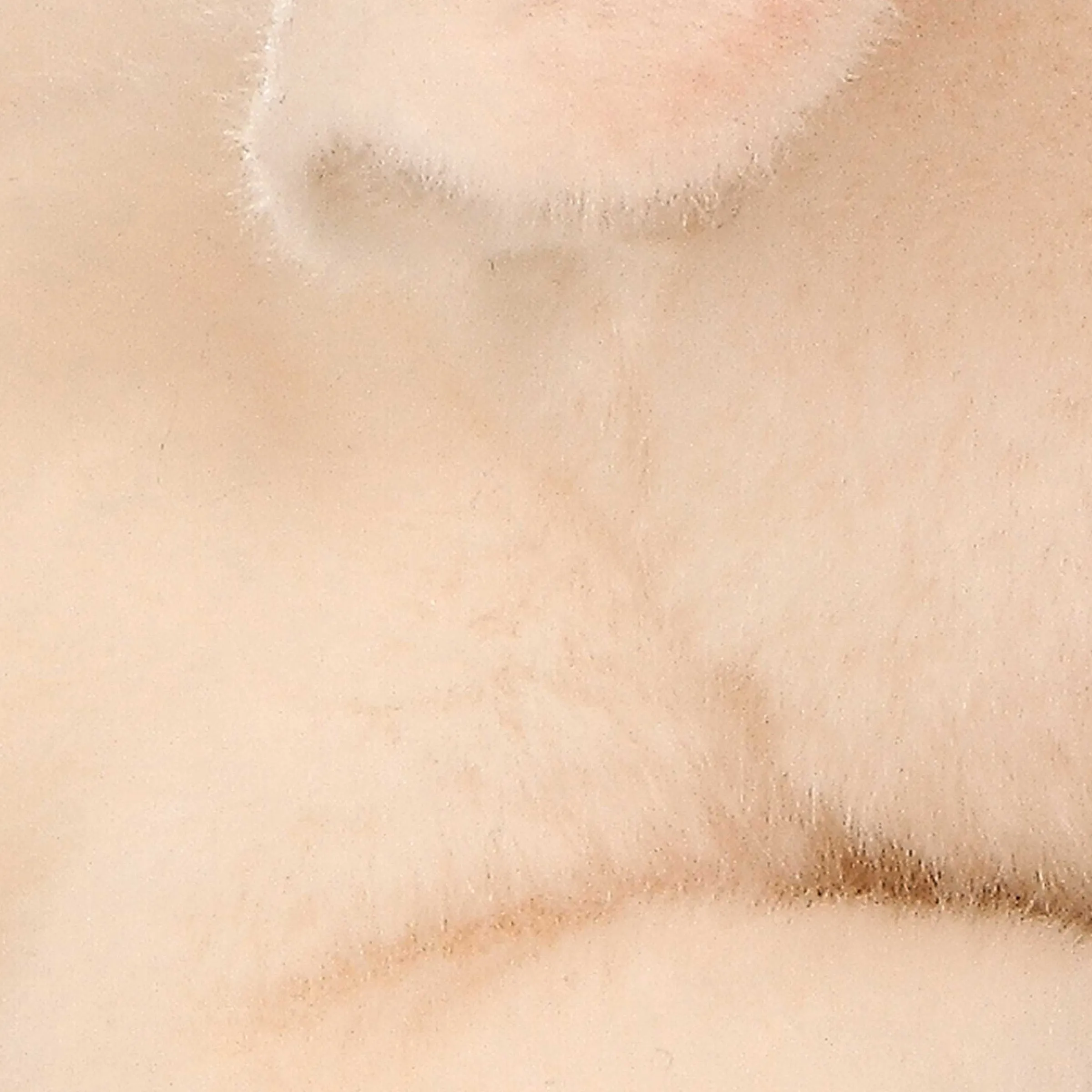 Fashion - Miyoni® - Pig Miyoni®