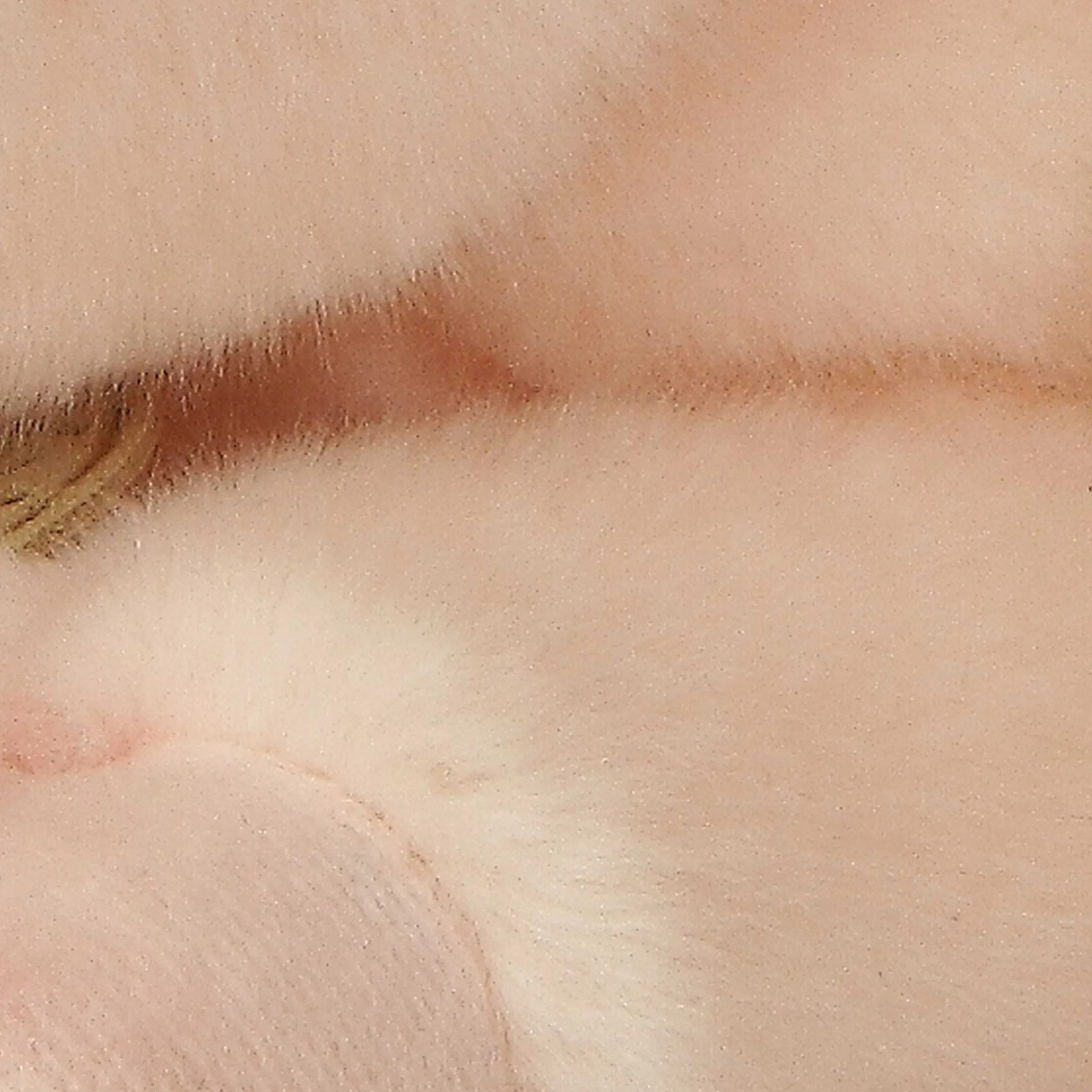 Fashion - Miyoni® - Pig Miyoni®