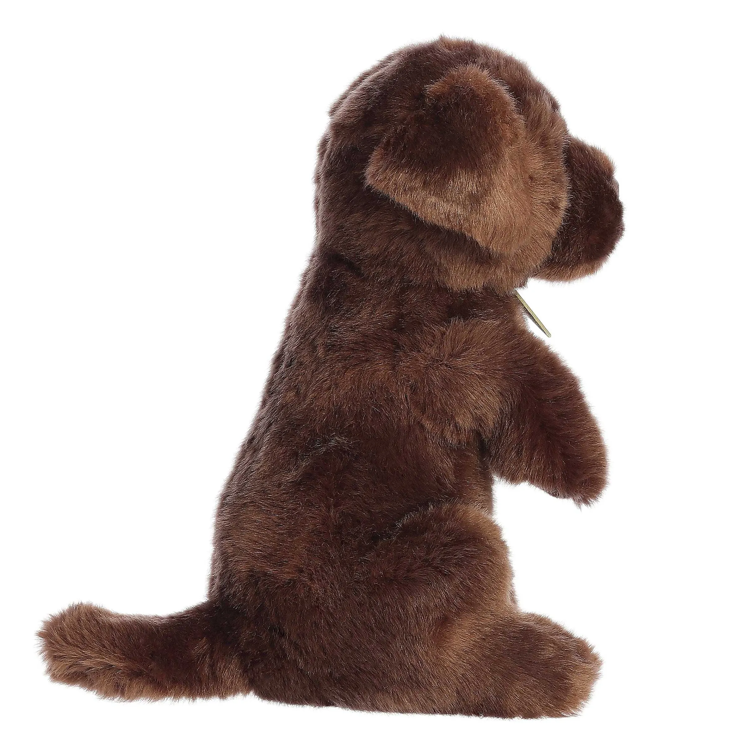 Fashion - Miyoni® Tots - Sitting Pretty - 11" Chocolate Lab Miyoni®