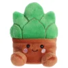 New Aurora® - Palm Pals - 5" Gigi Succulent New