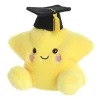Hot Aurora® - Palm Pals - 5" Magna Graduation Star New