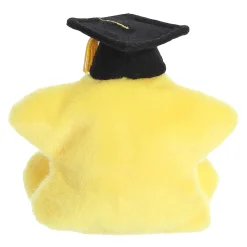 Hot Aurora® - Palm Pals - 5" Magna Graduation Star New