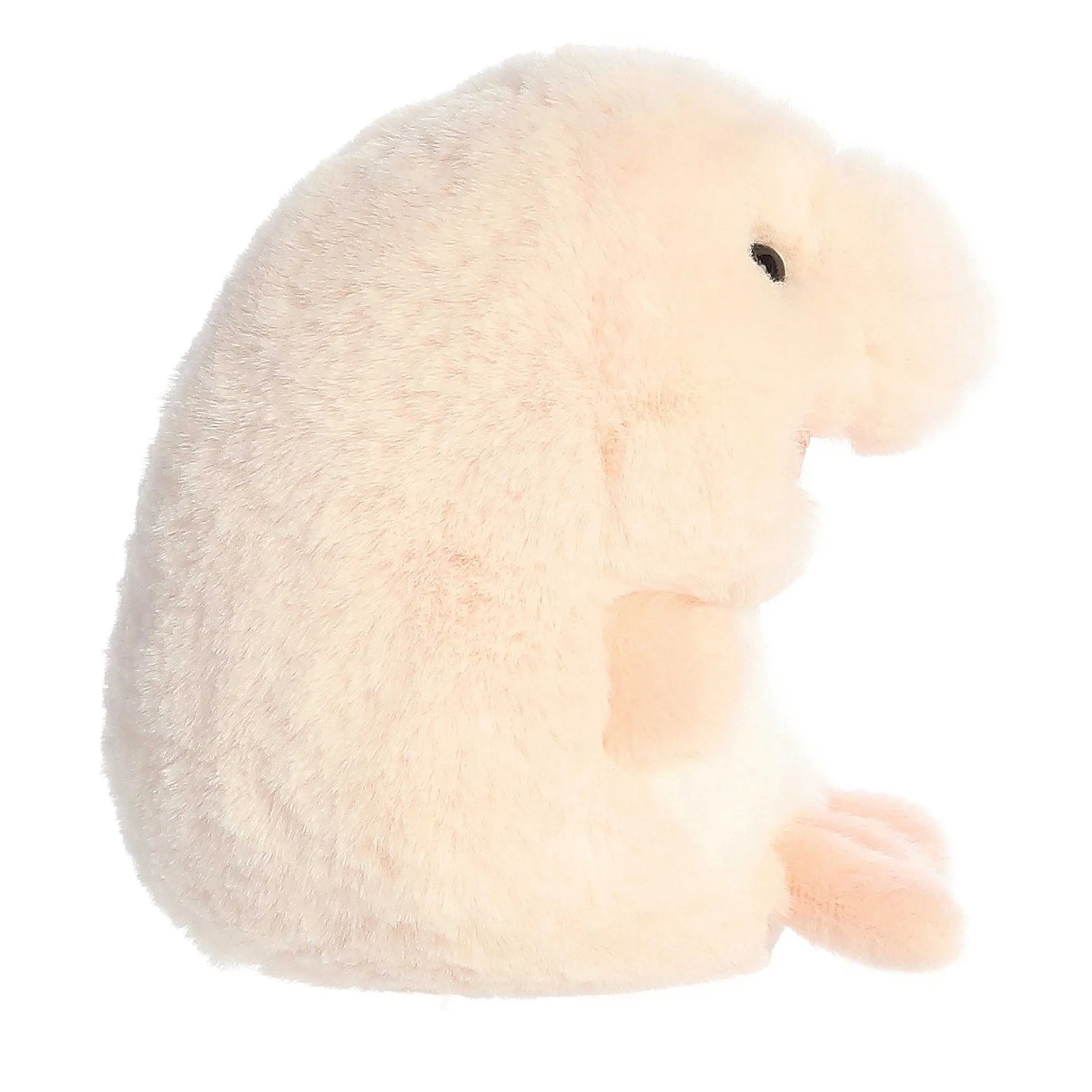 Hot - Rolly Pet - 5" Bailey Blobfish Rolly Pet