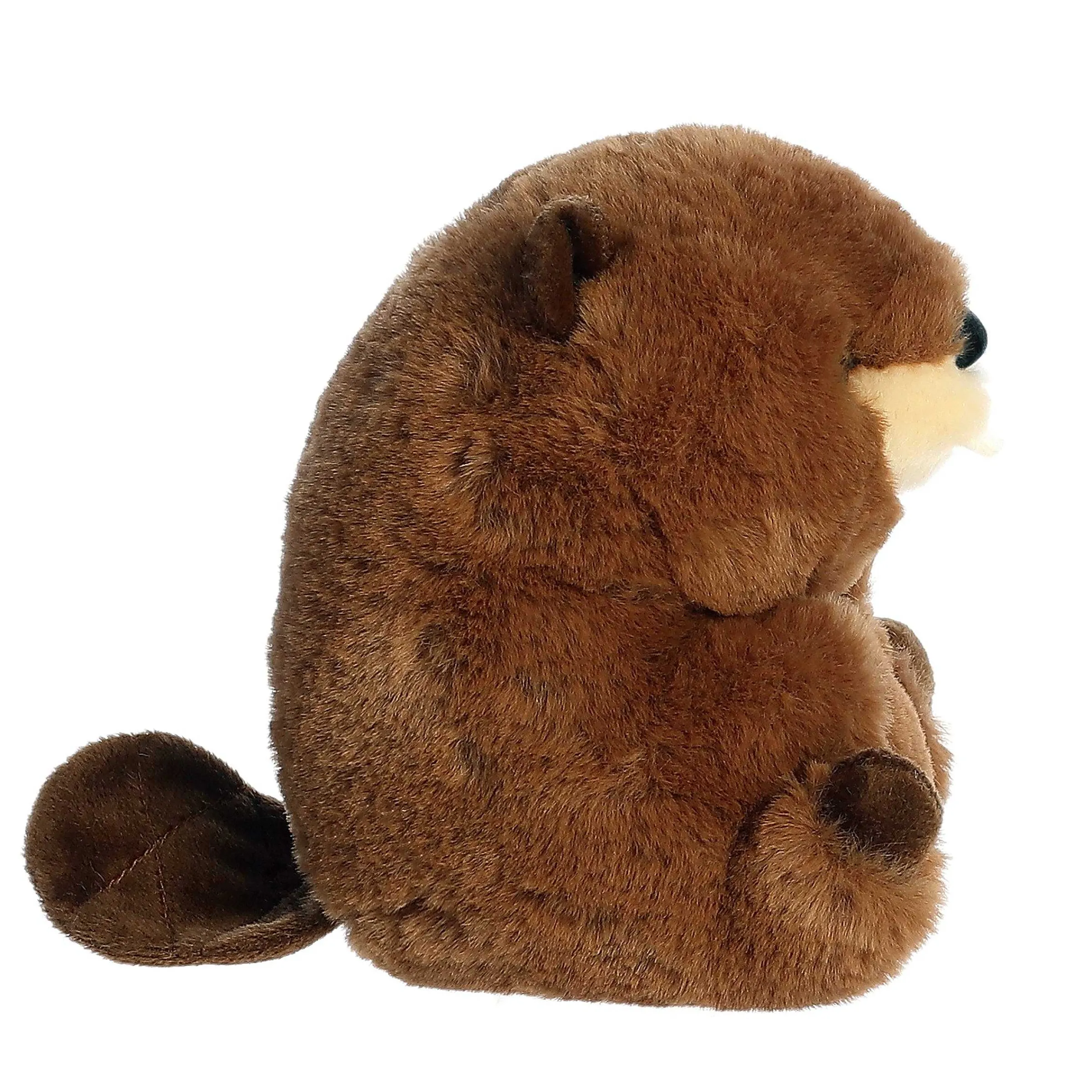 Online - Rolly Pet - 5" Beethoven Beaver Rolly Pet