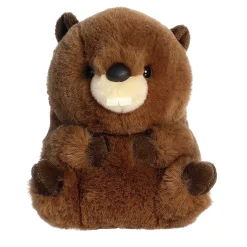 Online - Rolly Pet - 5