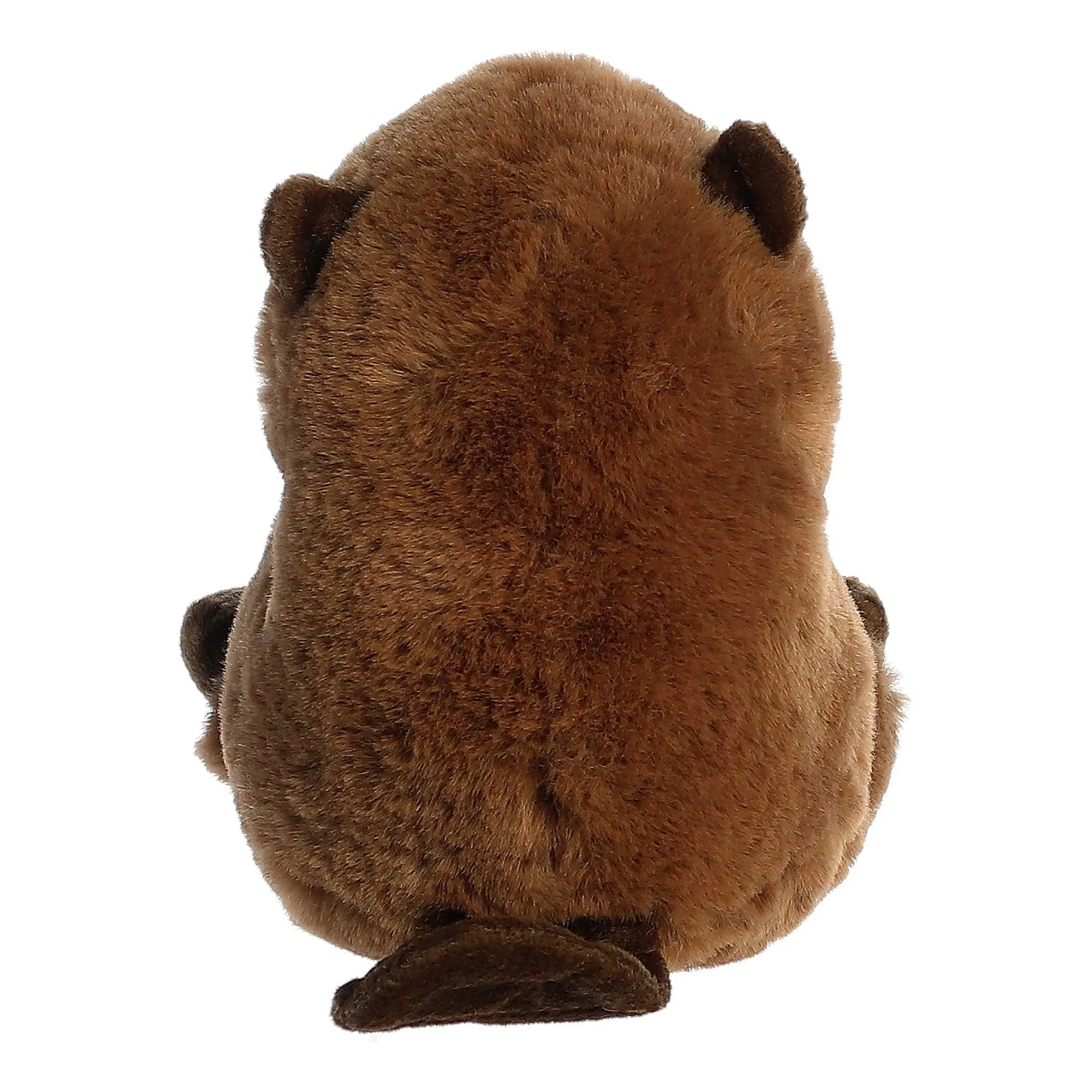 Online - Rolly Pet - 5" Beethoven Beaver Rolly Pet
