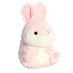 Online - Rolly Pet - 5