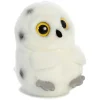 Clearance - Rolly Pet - 5" Hoot Owl Rolly Pet
