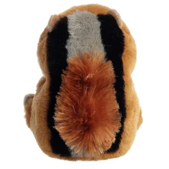 Best - Rolly Pet - 5