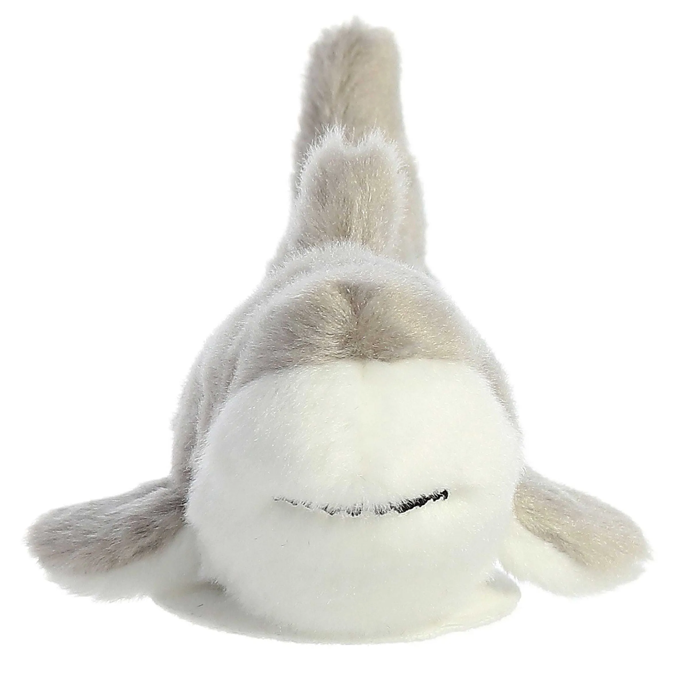 Fashion - Shoulderkins - 6" Titan Shark Interactive