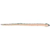 Best - Snake - 50" Aqua Pit Viper Pets