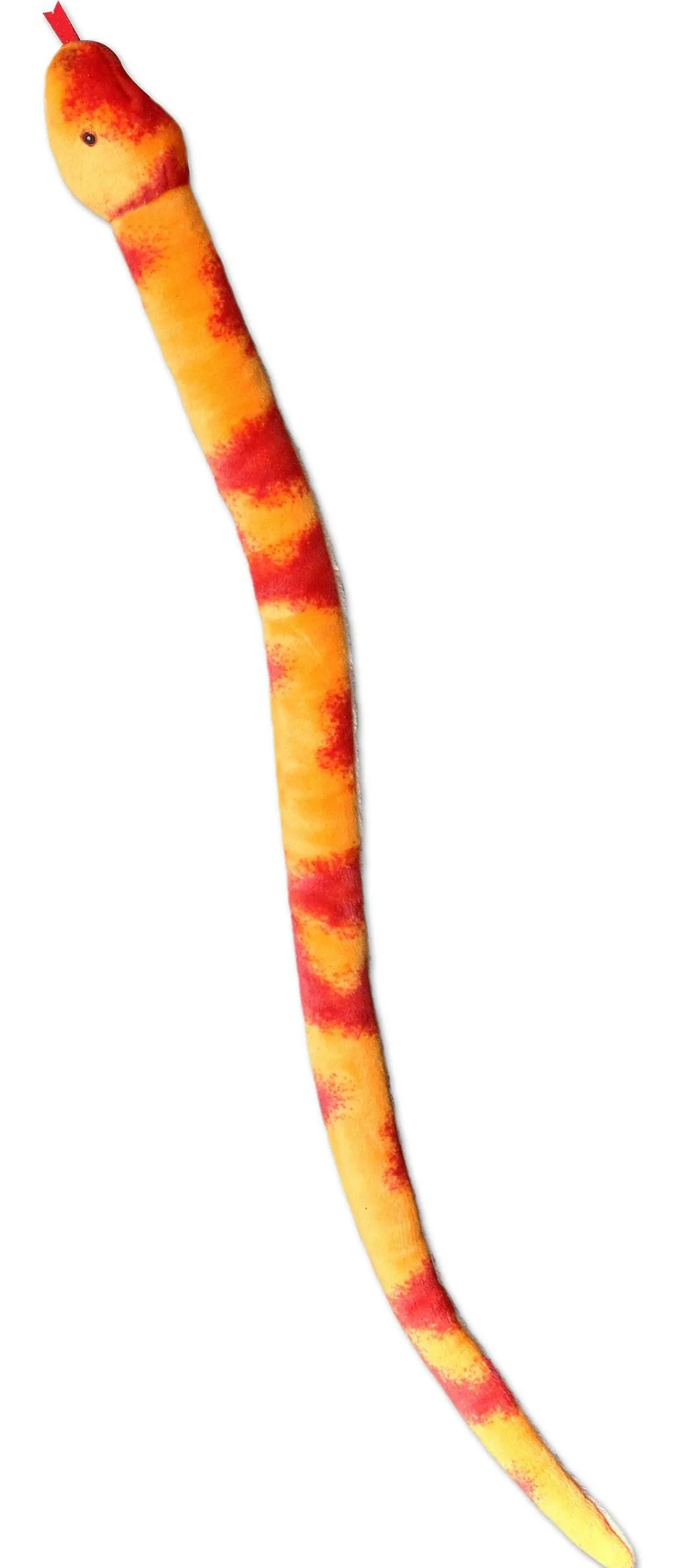 Online - Snake - 50" Corn Snake Pets