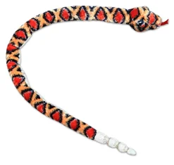 Sale - Snake - 50" Diamond Back Rattle Snake Pets