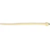 Clearance - Snake - 50" Mango Corn Snake Pets