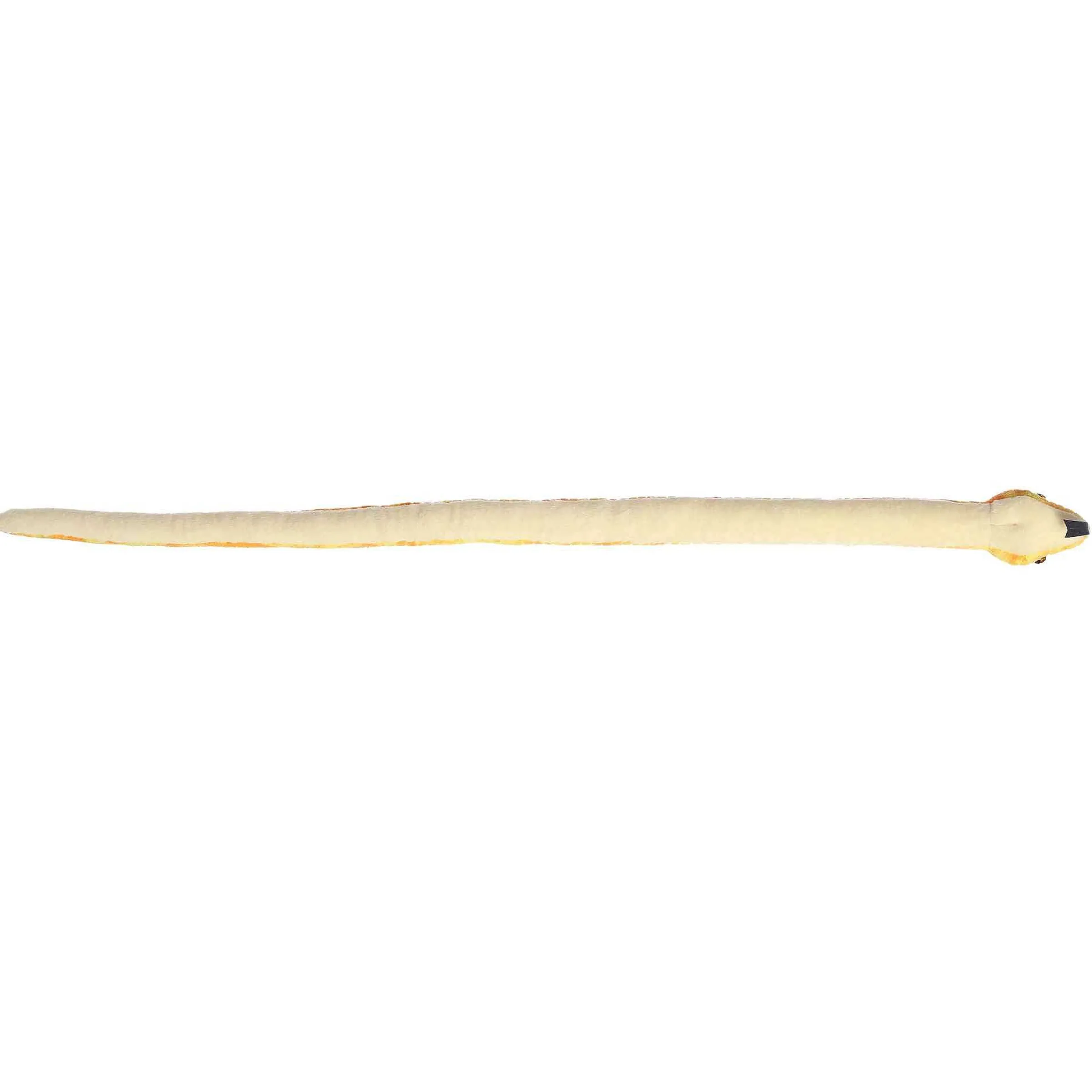 Clearance - Snake - 50" Mango Corn Snake Pets