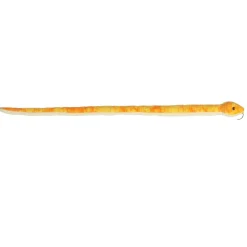 Clearance - Snake - 50