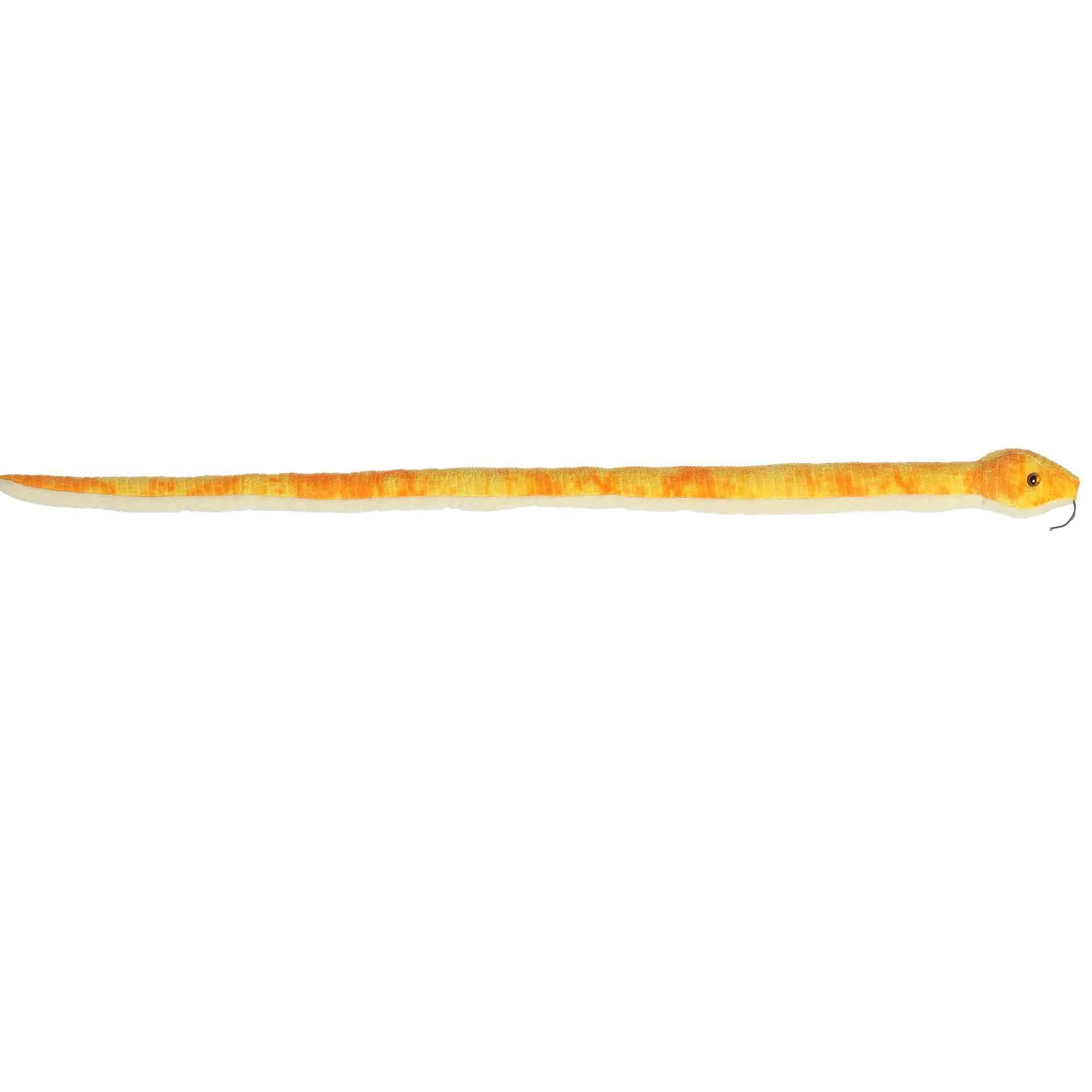 Clearance - Snake - 50" Mango Corn Snake Pets