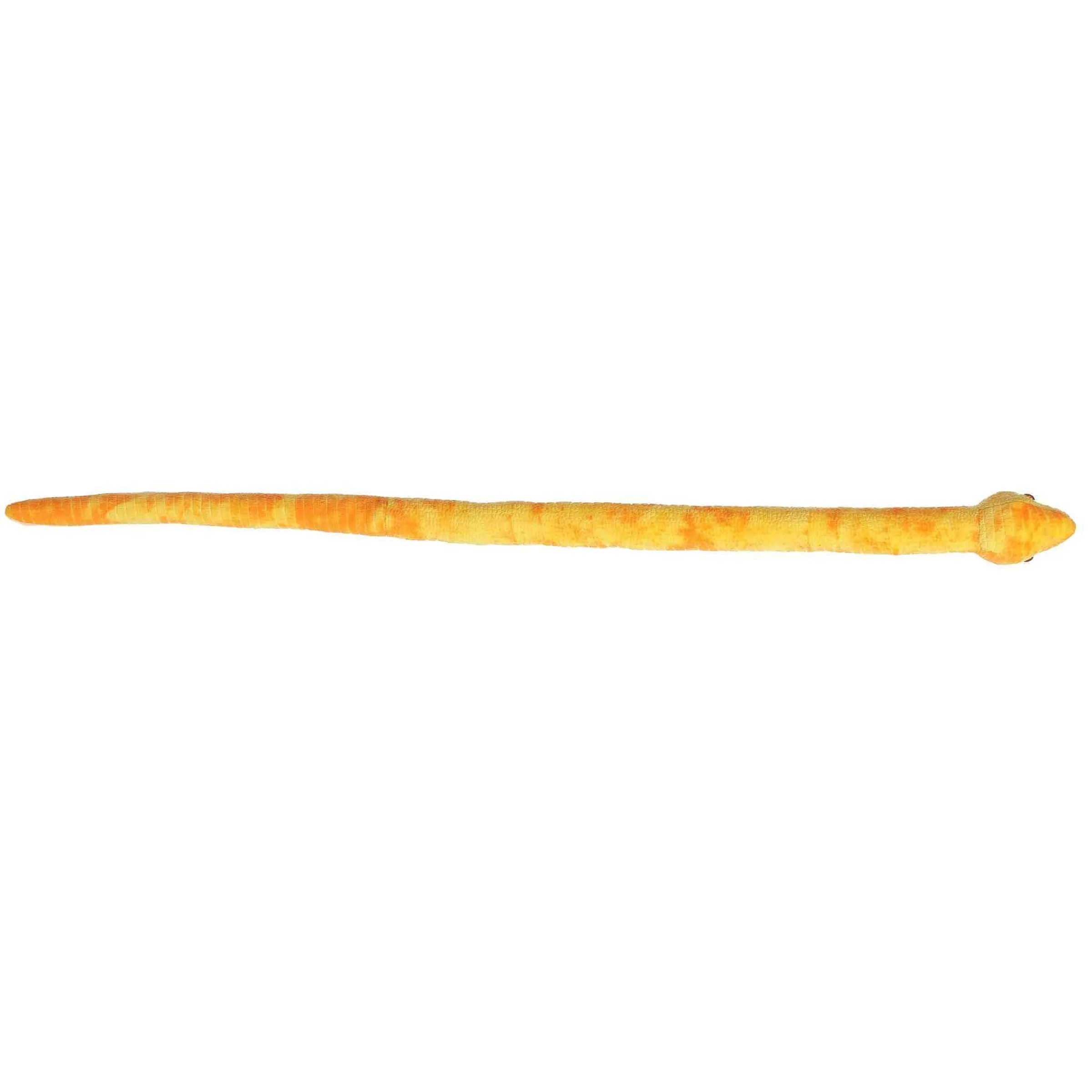 Clearance - Snake - 50" Mango Corn Snake Pets
