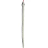 New - Snake - Kusheez - 51" Midnight Sky New
