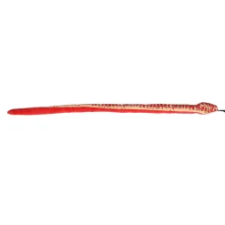 New - Snake - Kusheez - 51.5