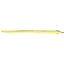 Sale - Snake - Kusheez - 51" Emerald Boa Pets