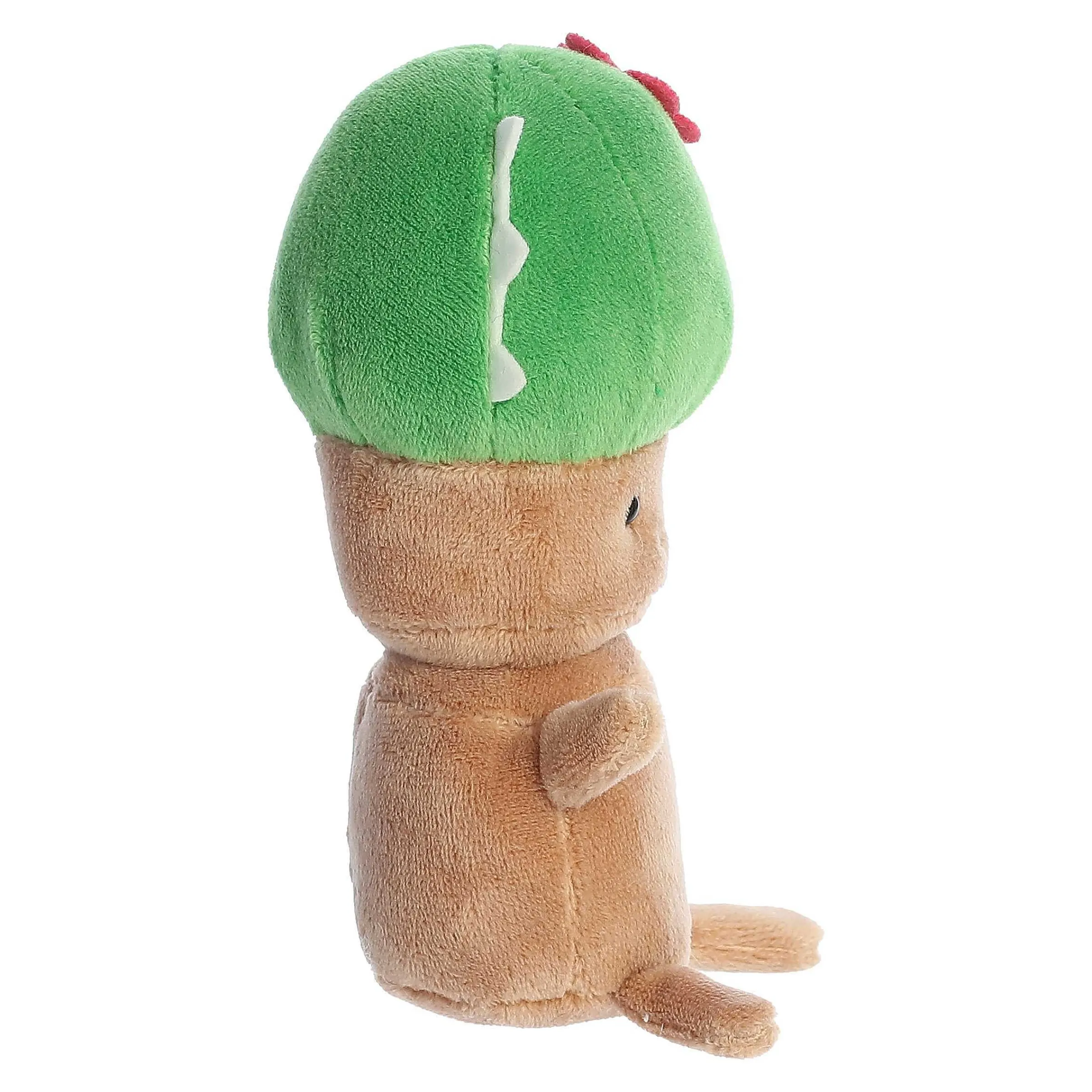 Online - Spring - Land Of Lils - 5" Cactus New