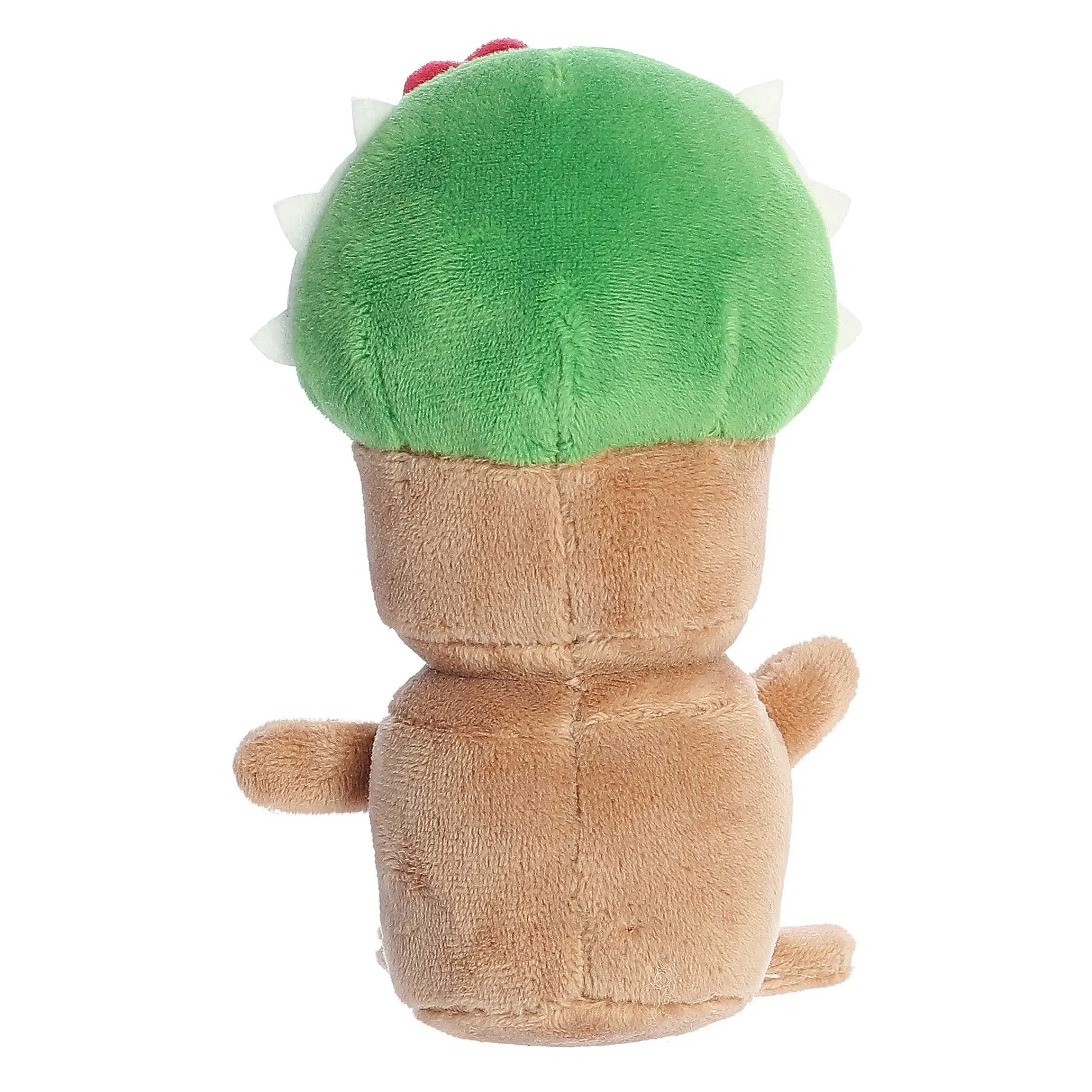 Online - Spring - Land Of Lils - 5" Cactus New