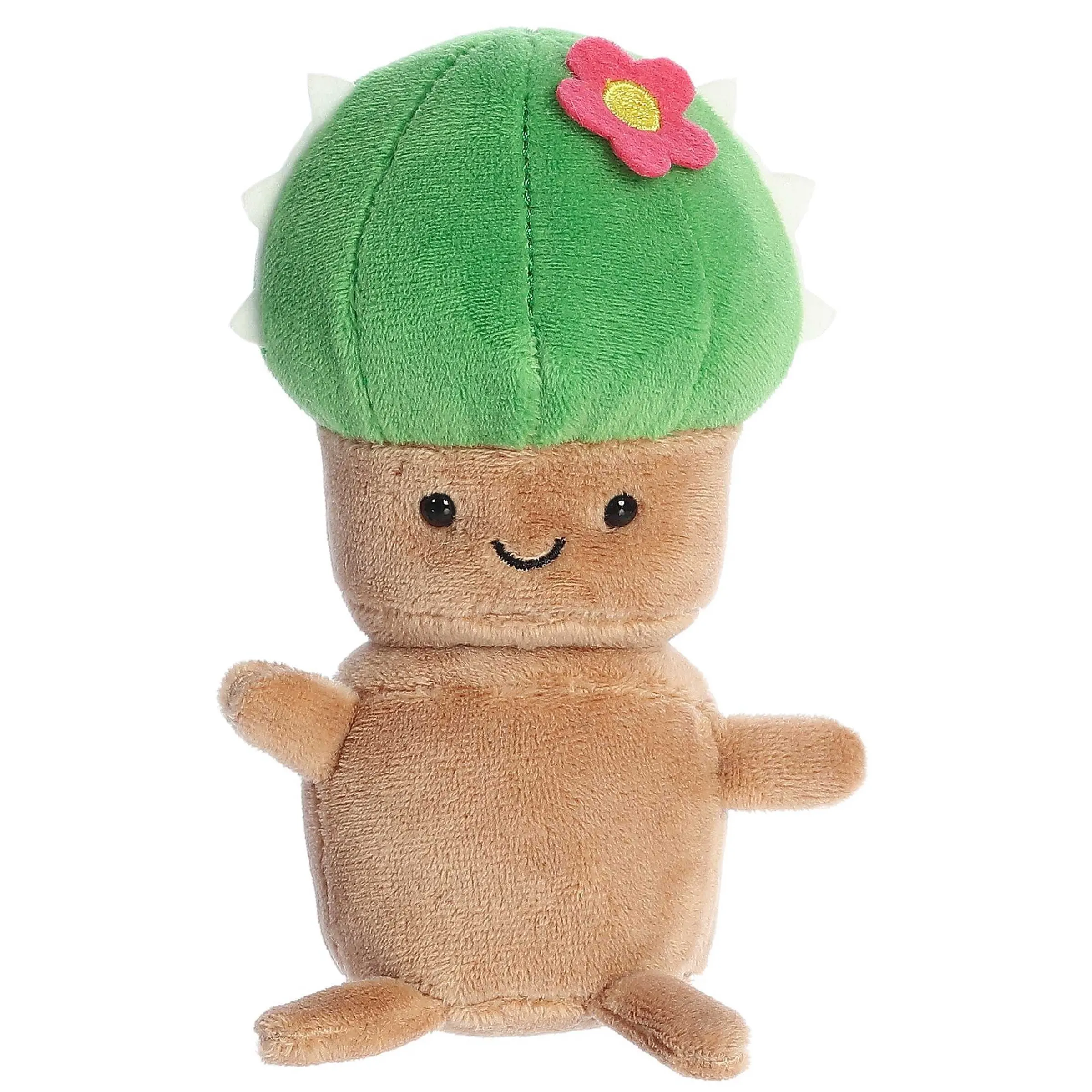 Online - Spring - Land Of Lils - 5" Cactus New