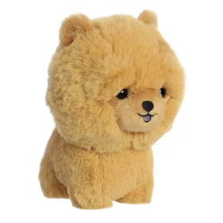 Sale - Teddy Pets - 7