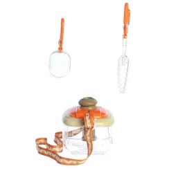 New - Camp Arcadia - Bug Collection Set New